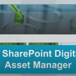 Digital asset manager Digital asset manager