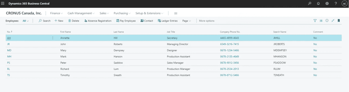 BUsiness central HR functionality