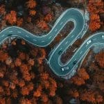 winding road through red trees